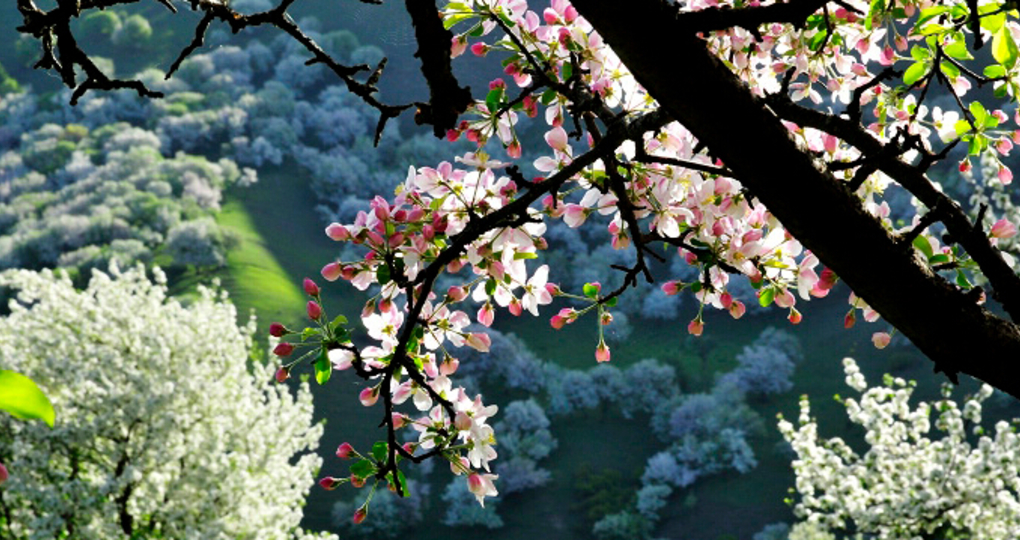 竹山天气预报一周