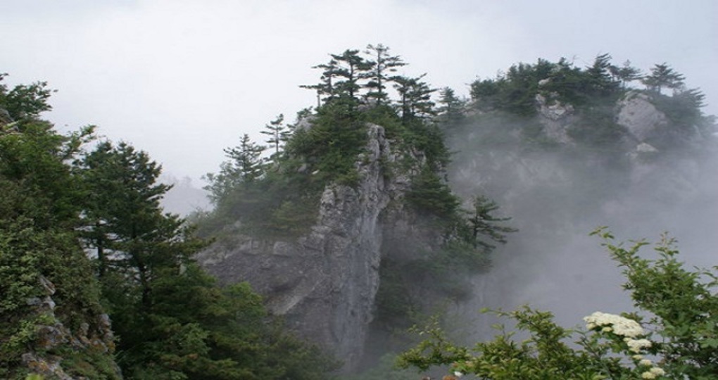 山阳天气预报一周