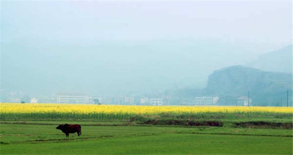 【衡东天气预报10天_衡东天气预报10天查询】衡东未来