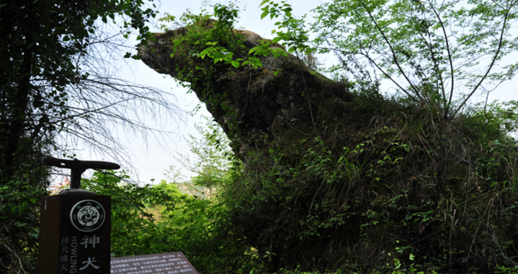 渠县天气预报一周
