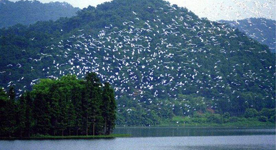 吉安|青原山_青原山天气预报一周_吉安青原山