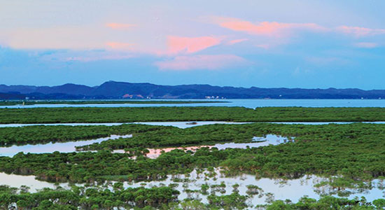 防城港|金滩_金滩天气预报一周_防城港金滩天