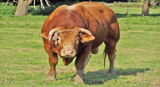 台北|台湾桃园国际机场_台湾桃园国际机场天气